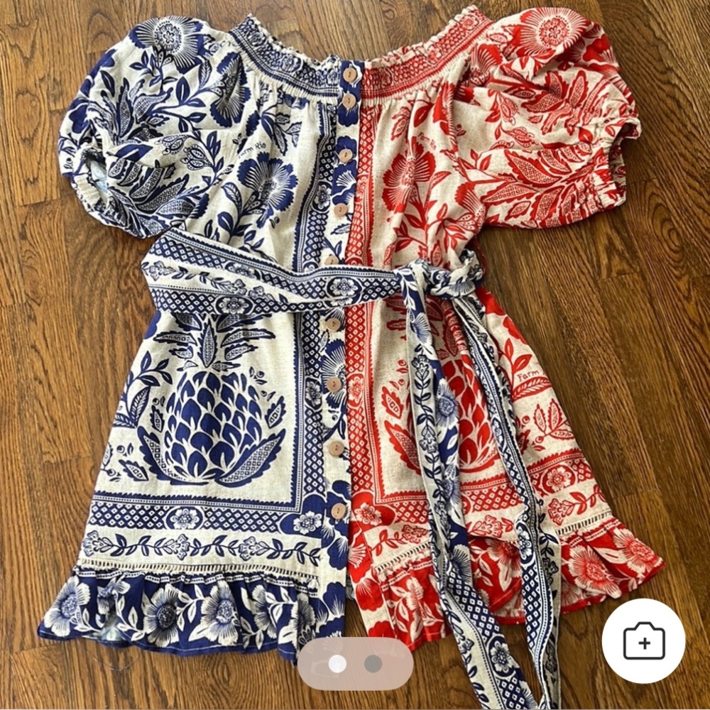 FARM Rio Red and Blue Floral Mini Dress